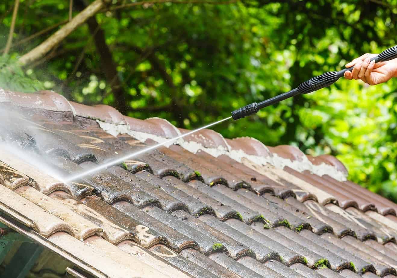 Roof Cleaning Reveals Damage