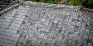 what causes black streaks on roof shingles