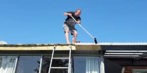 diy roof cleaning