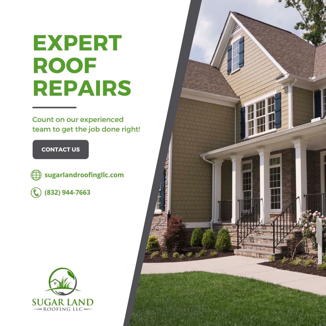 Expert Roof Repairs