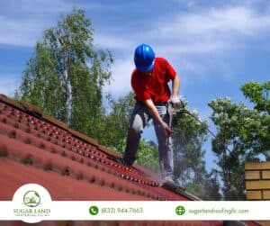 Roof Maintenance