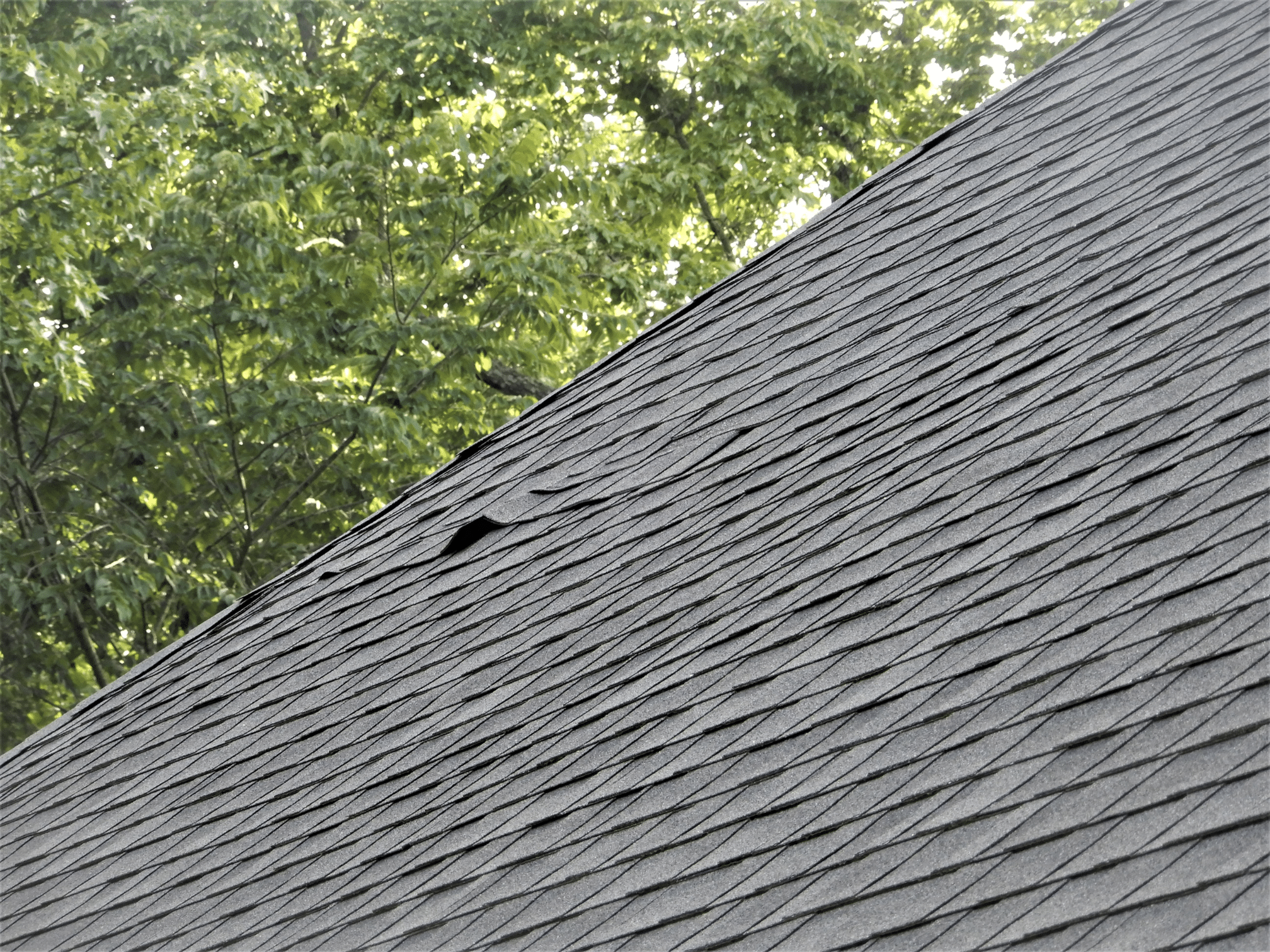 sealing lifted roof shingles service